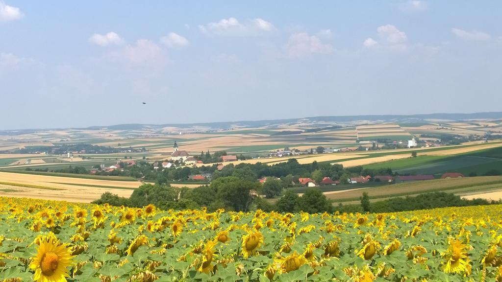 Traubengarten Winkler Niederhollabrunn Kültér fotó